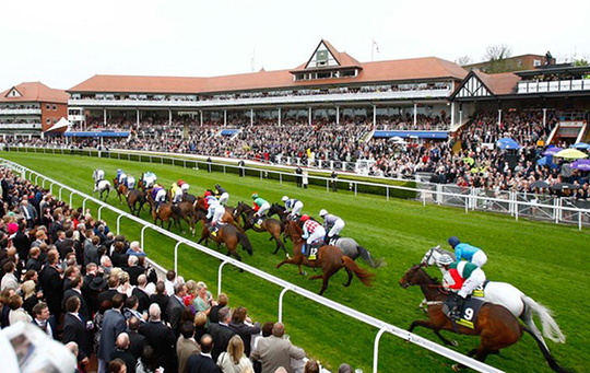 Horse racing enjoying huge financial boom