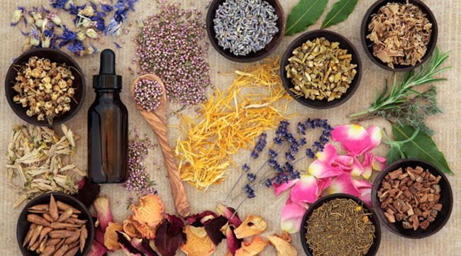 What is naturopathy? Treatments and approaches